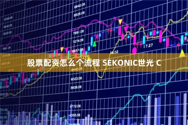 股票配资怎么个流程 SEKONIC世光 C